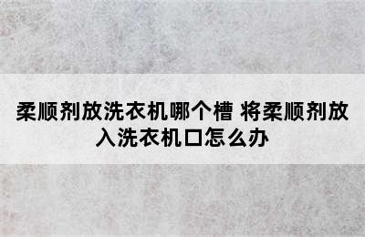 柔顺剂放洗衣机哪个槽 将柔顺剂放入洗衣机口怎么办